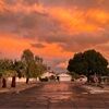 rebekdaer